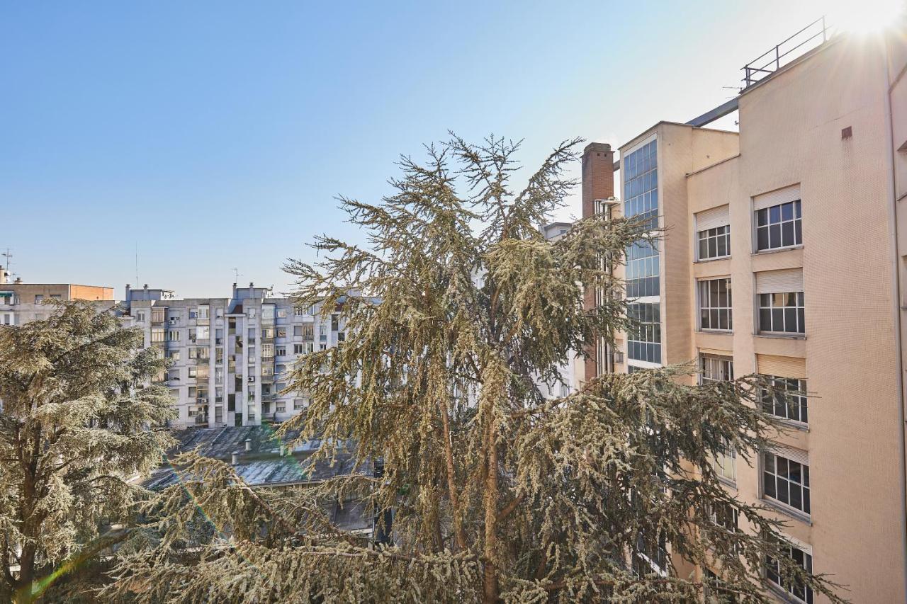 בולוניה Carlotta Silvani Suite מראה חיצוני תמונה